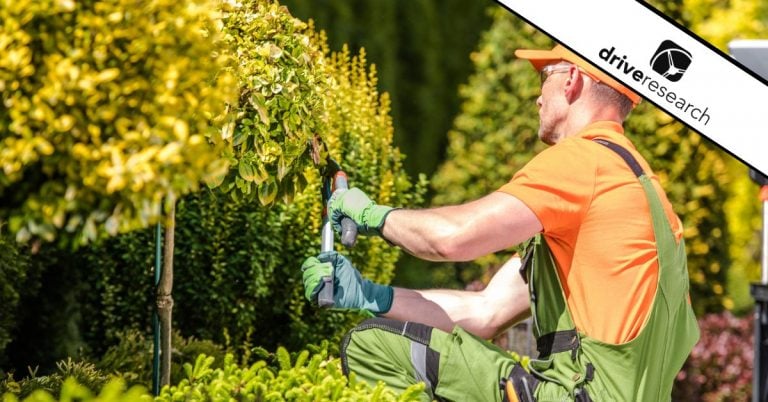 Male gardener trimming a bush