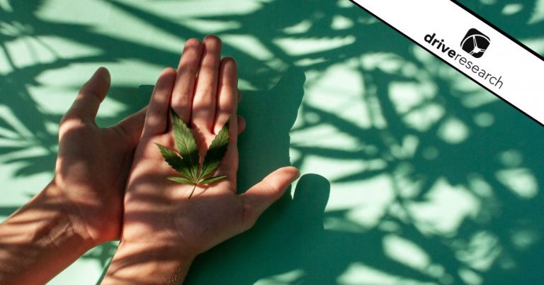 Person holding cannabis leaf in their hand