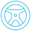 Steering wheel auto icon