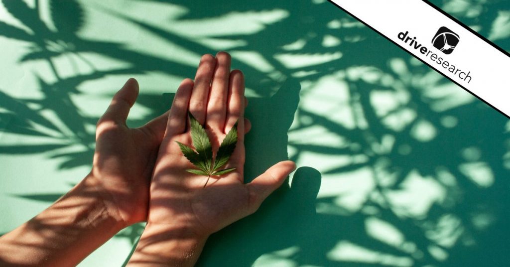 Hand holding cannabis leaf